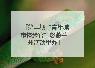 第二期“青年城市体验官”悠游兰州活动举办