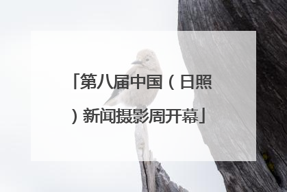 第八届中国（日照）新闻摄影周开幕