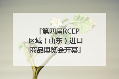 第四届RCEP区域（山东）进口商品博览会开幕