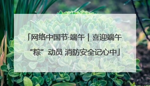 网络中国节·端午｜喜迎端午“粽”动员 消防安全记心中