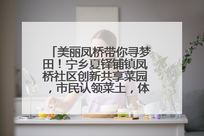 美丽凤桥带你寻梦田！宁乡夏铎铺镇凤桥社区创新共享菜园，市民认领菜土，体验耕种收获乐趣