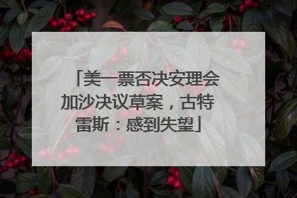美一票否决安理会加沙决议草案，古特雷斯：感到失望