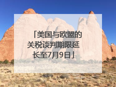 美国与欧盟的关税谈判期限延长至7月9日