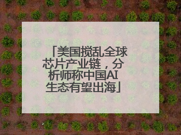 美国搅乱全球芯片产业链，分析师称中国AI生态有望出海