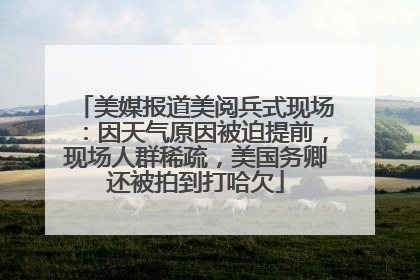 美媒报道美阅兵式现场：因天气原因被迫提前，现场人群稀疏，美国务卿还被拍到打哈欠