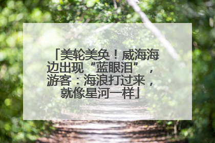 美轮美奂！威海海边出现“蓝眼泪”，游客：海浪打过来，就像星河一样