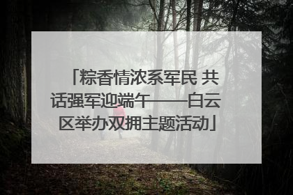 粽香情浓系军民 共话强军迎端午——白云区举办双拥主题活动