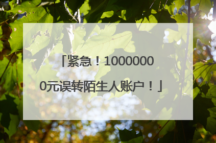 紧急！10000000元误转陌生人账户！