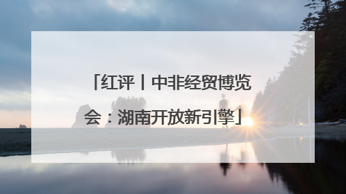 红评丨中非经贸博览会：湖南开放新引擎