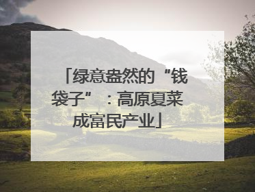 绿意盎然的“钱袋子”：高原夏菜成富民产业