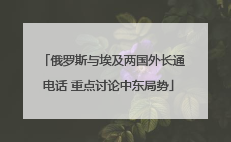 俄罗斯与埃及两国外长通电话 重点讨论中东局势