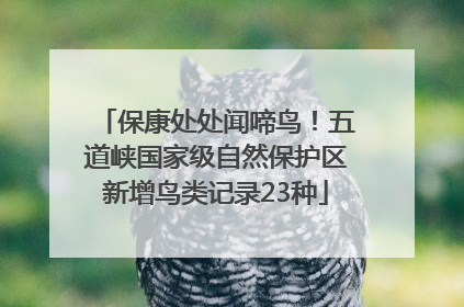 保康处处闻啼鸟！五道峡国家级自然保护区新增鸟类记录23种