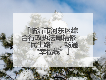 临沂市河东区综合行政执法局精修“民生路”，畅通“幸福线”