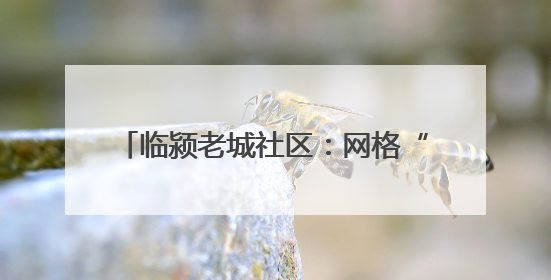 临颍老城社区：网格“暖治” 幸福“满格”