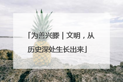 为善兴滕｜文明，从历史深处生长出来
