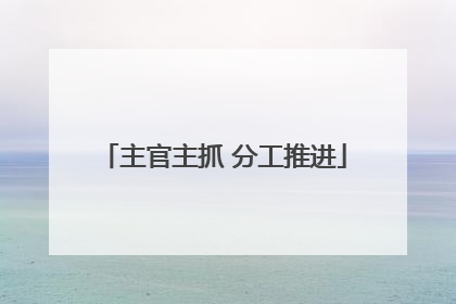 主官主抓 分工推进