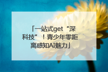 一站式get“深科技”！青少年零距离感知AI魅力