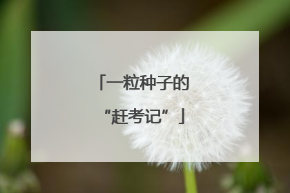 一粒种子的“赶考记”
