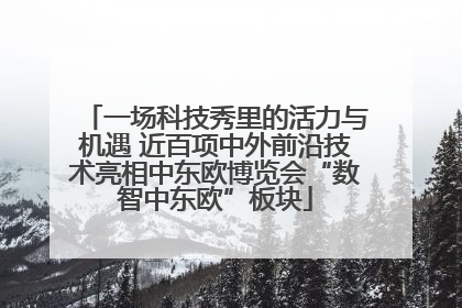 一场科技秀里的活力与机遇 近百项中外前沿技术亮相中东欧博览会“数智中东欧”板块