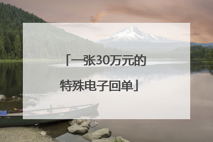 一张30万元的特殊电子回单