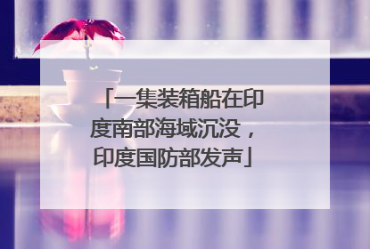 一集装箱船在印度南部海域沉没，印度国防部发声