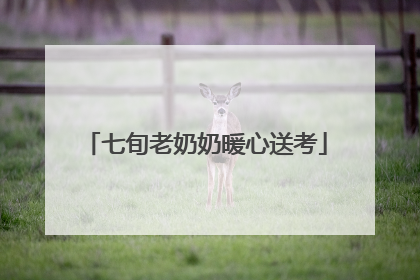 七旬老奶奶暖心送考