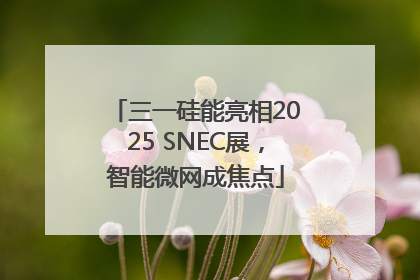 三一硅能亮相2025 SNEC展，智能微网成焦点