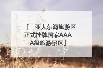 三亚大东海旅游区正式挂牌国家AAAA级旅游景区