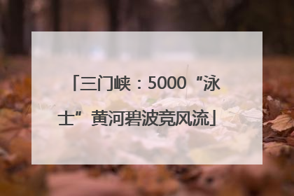 三门峡：5000“泳士”黄河碧波竞风流