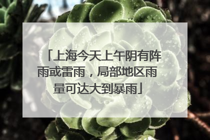 上海今天上午阴有阵雨或雷雨，局部地区雨量可达大到暴雨