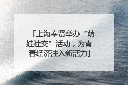 上海奉贤举办“萌娃社交”活动，为青春经济注入新活力