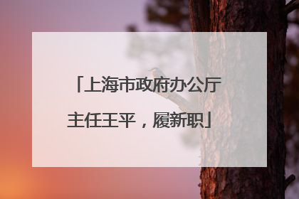 上海市政府办公厅主任王平，履新职