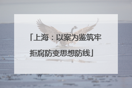 上海：以案为鉴筑牢拒腐防变思想防线