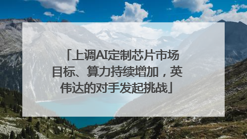 上调AI定制芯片市场目标、算力持续增加，英伟达的对手发起挑战