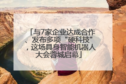 与7家企业达成合作、发布多项“硬科技”，这场具身智能机器人大会蓉城启幕