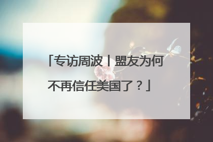 专访周波丨盟友为何不再信任美国了？