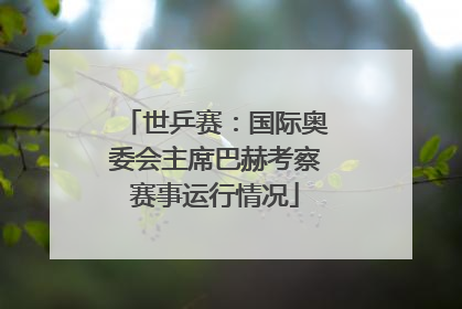 世乒赛：国际奥委会主席巴赫考察赛事运行情况