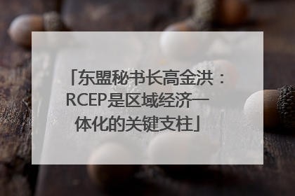 东盟秘书长高金洪：RCEP是区域经济一体化的关键支柱