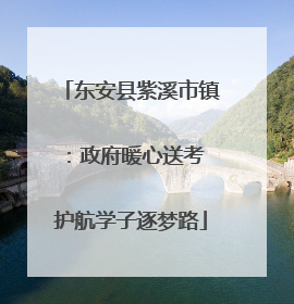 东安县紫溪市镇：政府暖心送考 护航学子逐梦路
