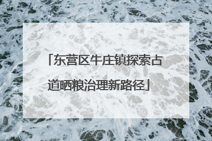 东营区牛庄镇探索占道晒粮治理新路径