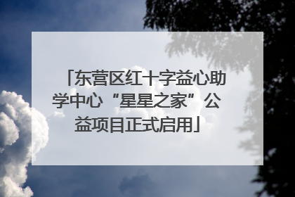 东营区红十字益心助学中心“星星之家”公益项目正式启用