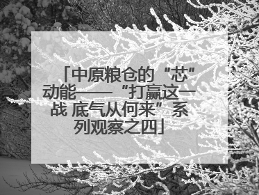 中原粮仓的“芯”动能——“打赢这一战 底气从何来”系列观察之四