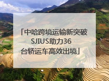 中哈跨境运输新突破 SJIUS助力36台轿运车高效出境