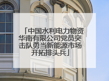 中国水利电力物资华南有限公司党员突击队勇当新能源市场开拓排头兵