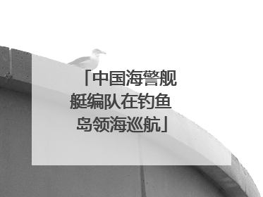 中国海警舰艇编队在钓鱼岛领海巡航