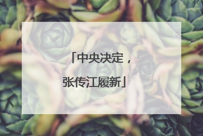 中央决定，张传江履新