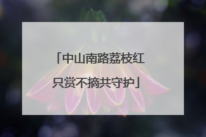 中山南路荔枝红 只赏不摘共守护