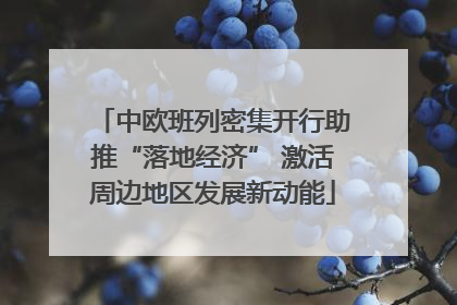 中欧班列密集开行助推“落地经济” 激活周边地区发展新动能
