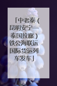 中老泰（昆明安宁—泰国拉廊）铁公海联运国际货运列车发车