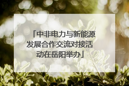 中非电力与新能源发展合作交流对接活动在岳阳举办